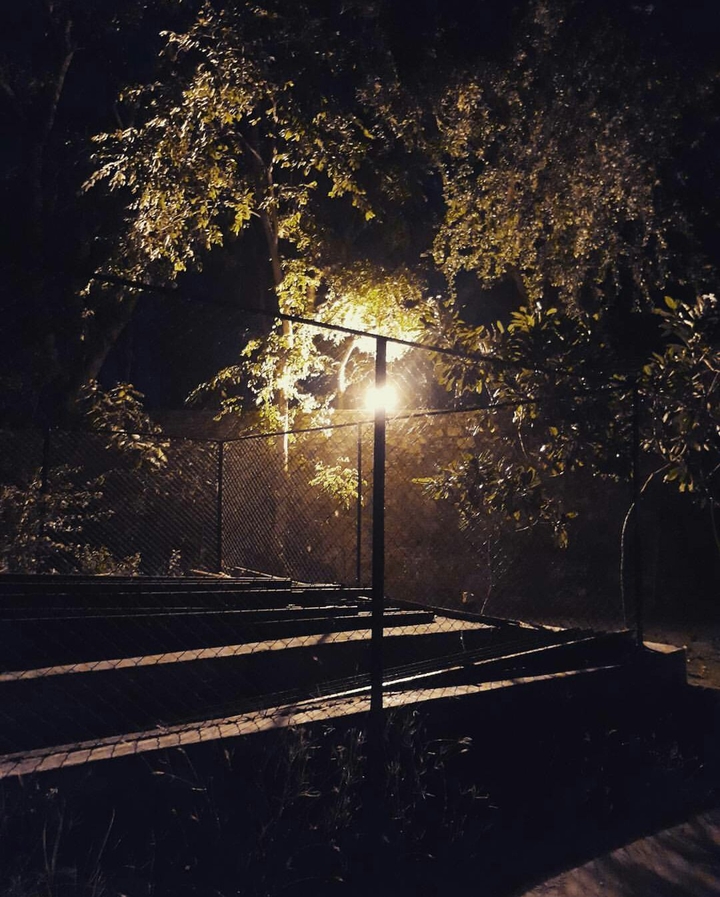 Finding light in the dark