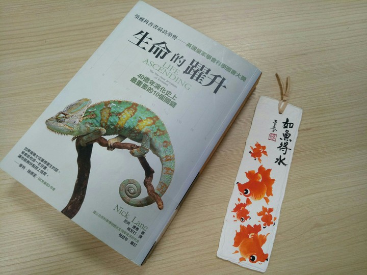 today（4.17）library
