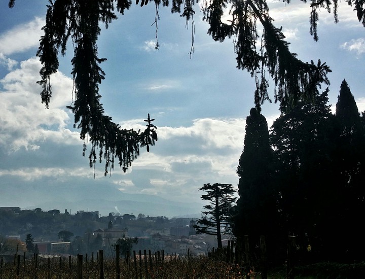 View.