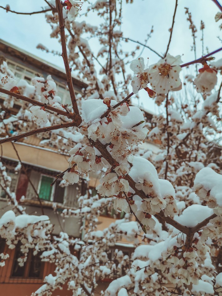 Winter & spring meeting