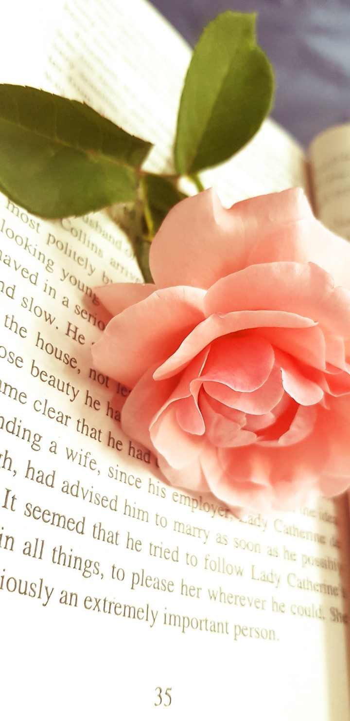 love gift from a lover