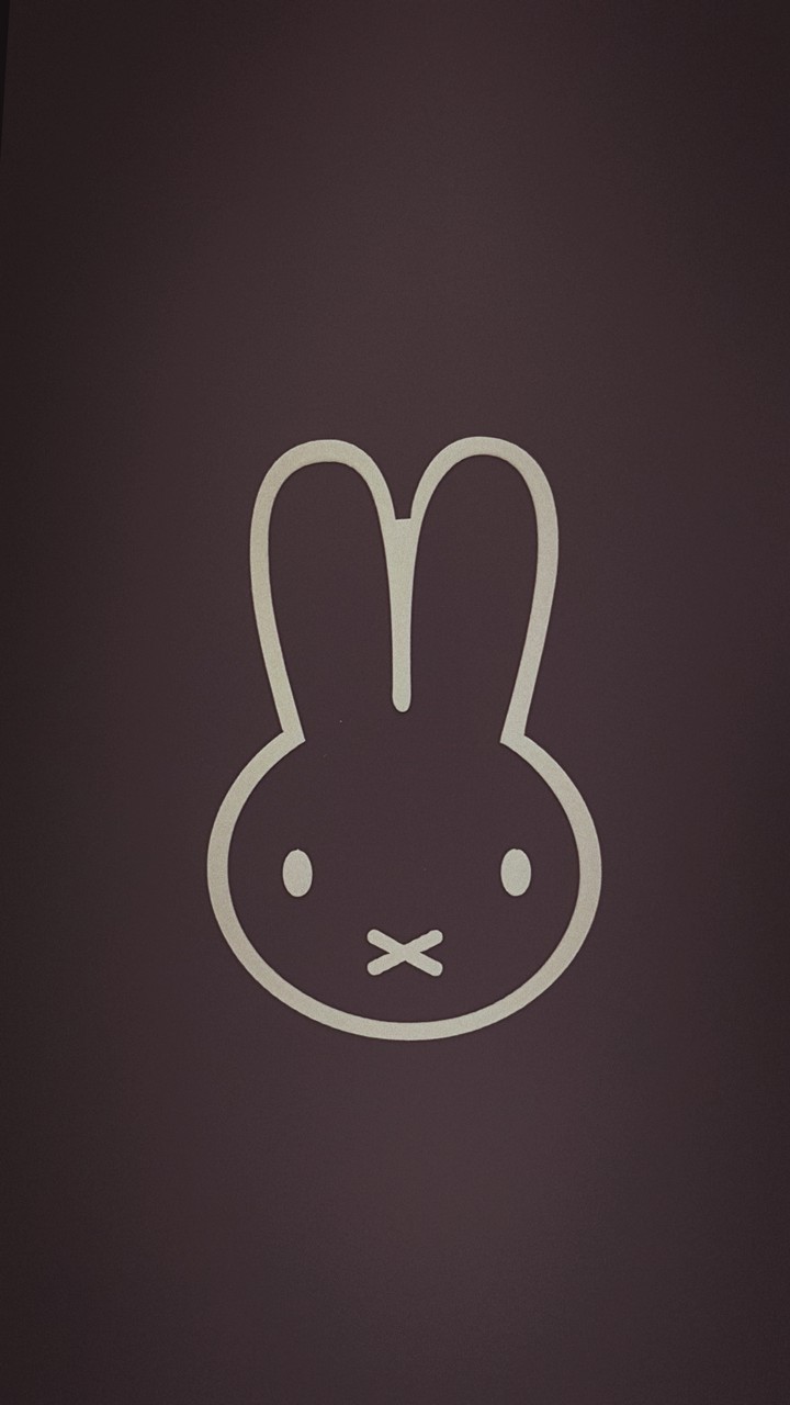 miffy style