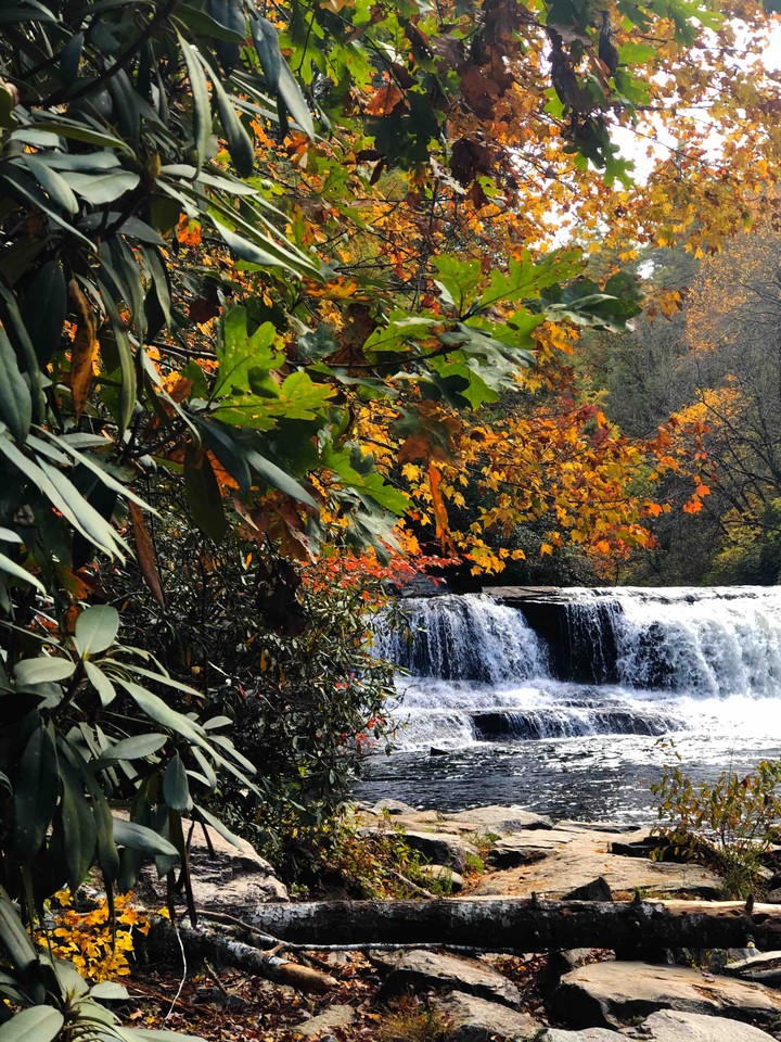 Asheville