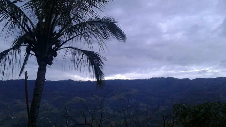 Evening