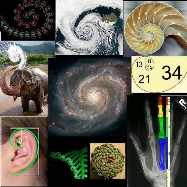 Fibonacci sequence