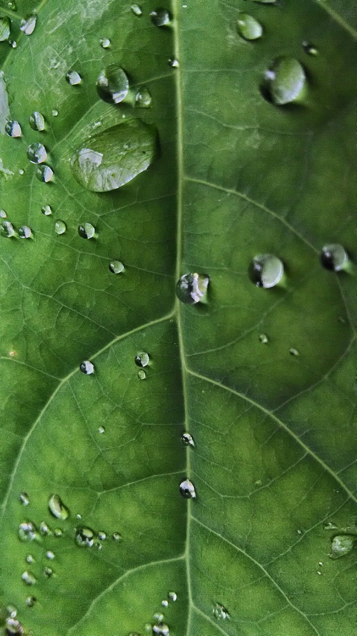 ^^