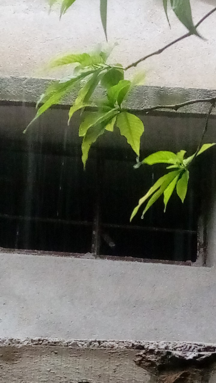 Raining