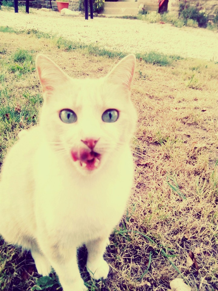 So cute