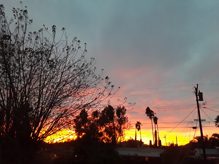 On Top Of My Roof