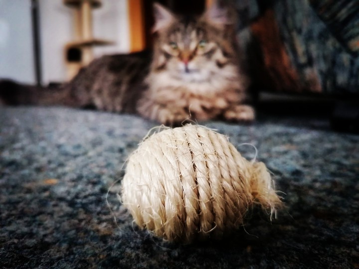 Let's play!