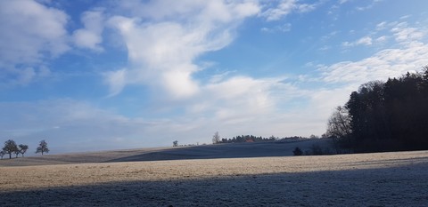 Landscape in Winter