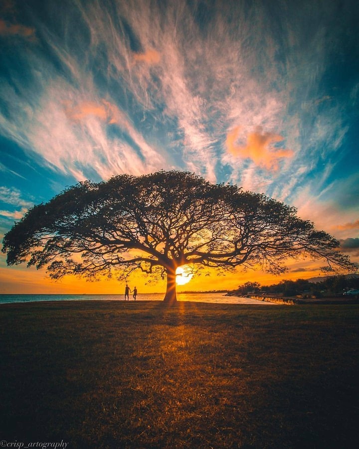 nature