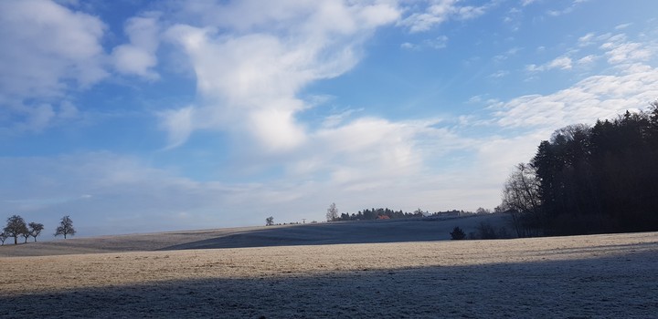 Landscape in Winter