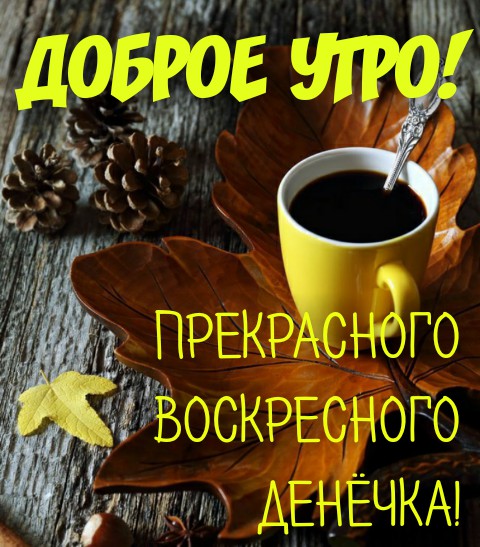 доброе утро