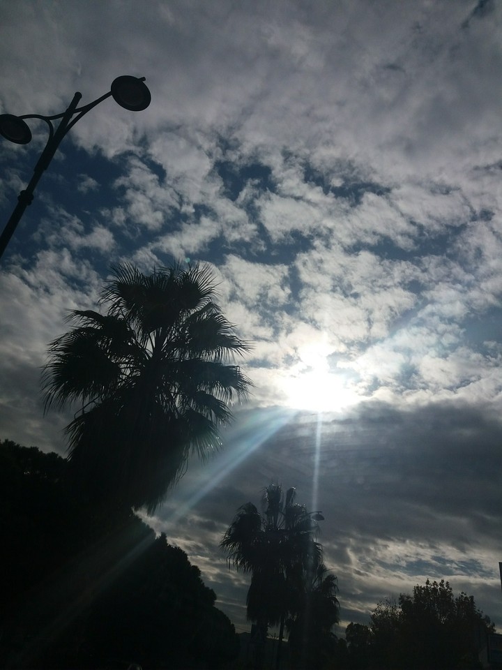 morning