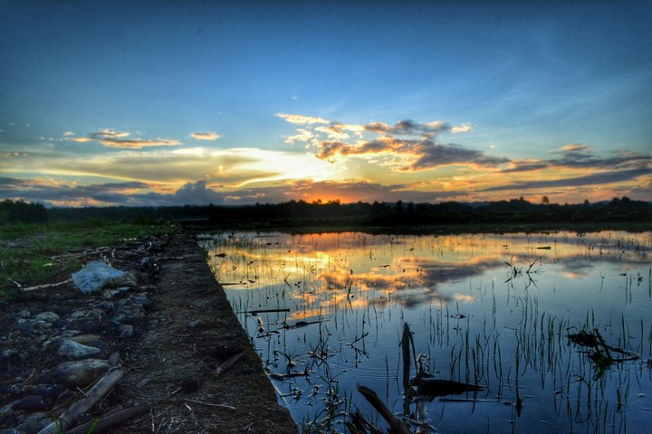 Mirror of Nature