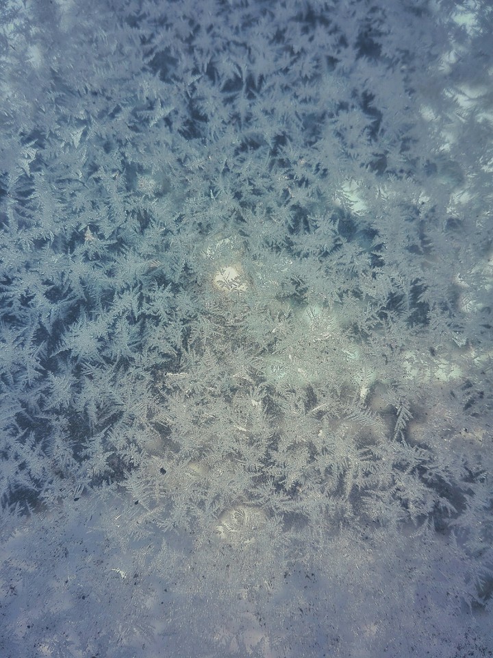 snow