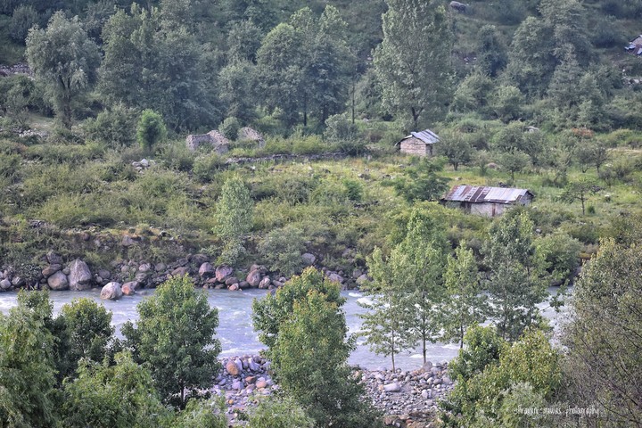 @manali