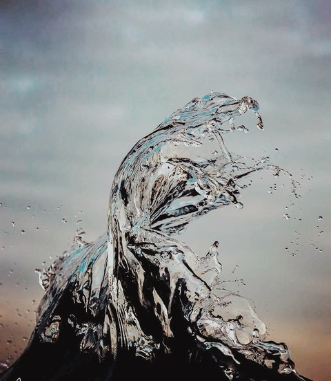 beauty of movement