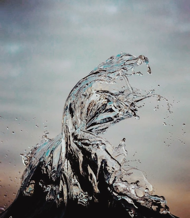 beauty of movement
