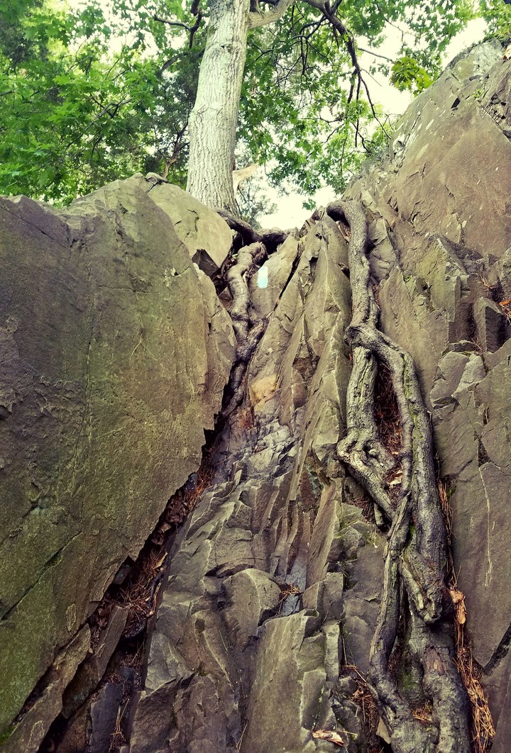 Rock Wall