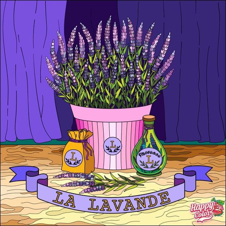 Lavanda