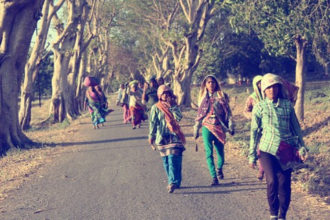 Farmers' work