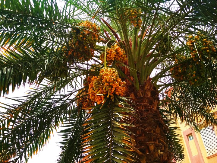 Dates..