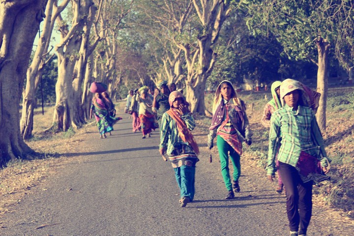 Farmers' work