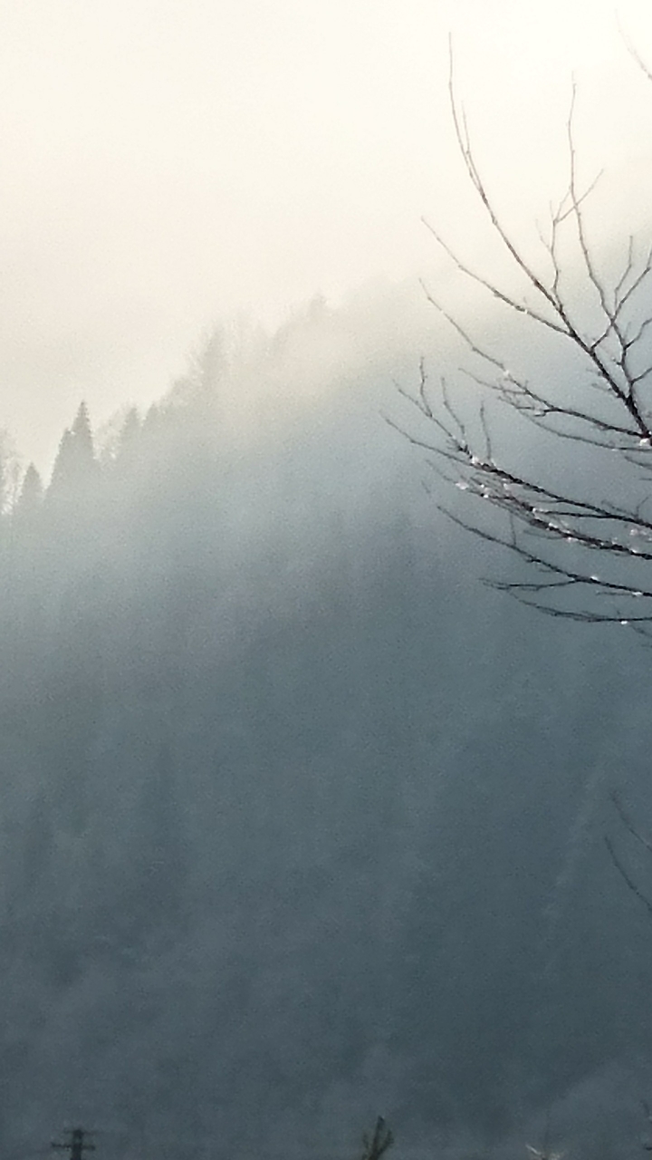 Karpaty