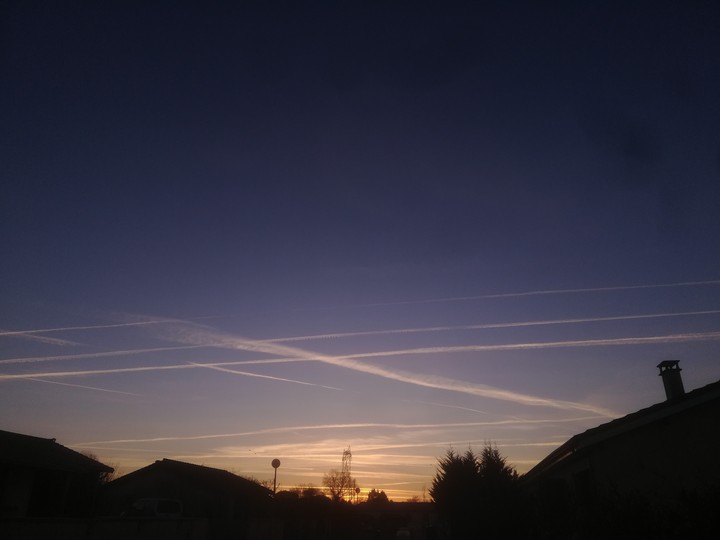 lines