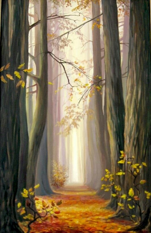 forest