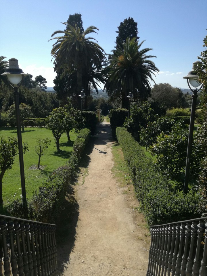 Park