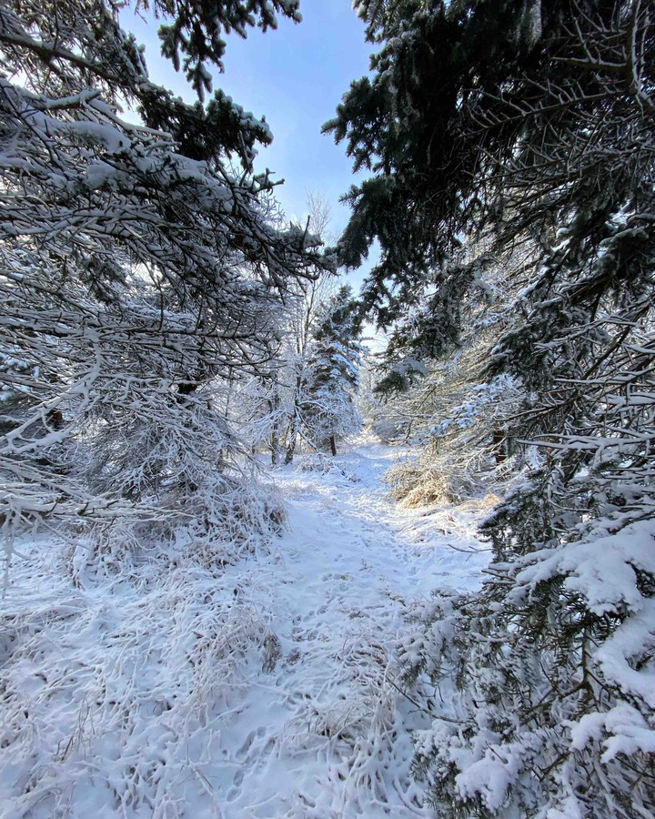 winter