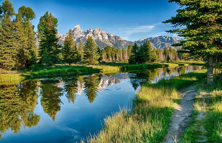 Nature's Beauty