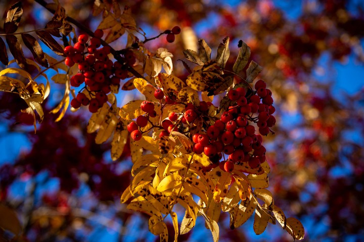 In autumn