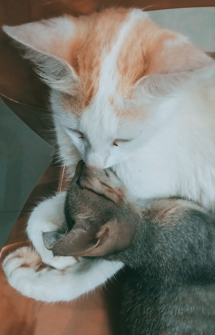 love...  aren't they adorable?