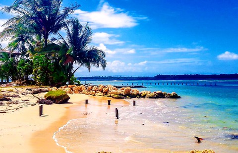 ISLAND ♥️