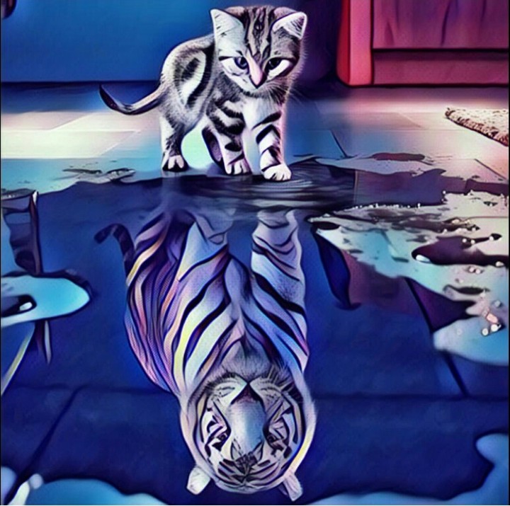 kittycat