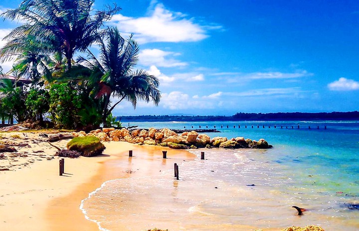 ISLAND ♥️