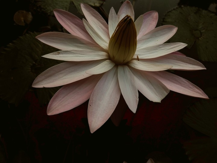 One of my favourites...