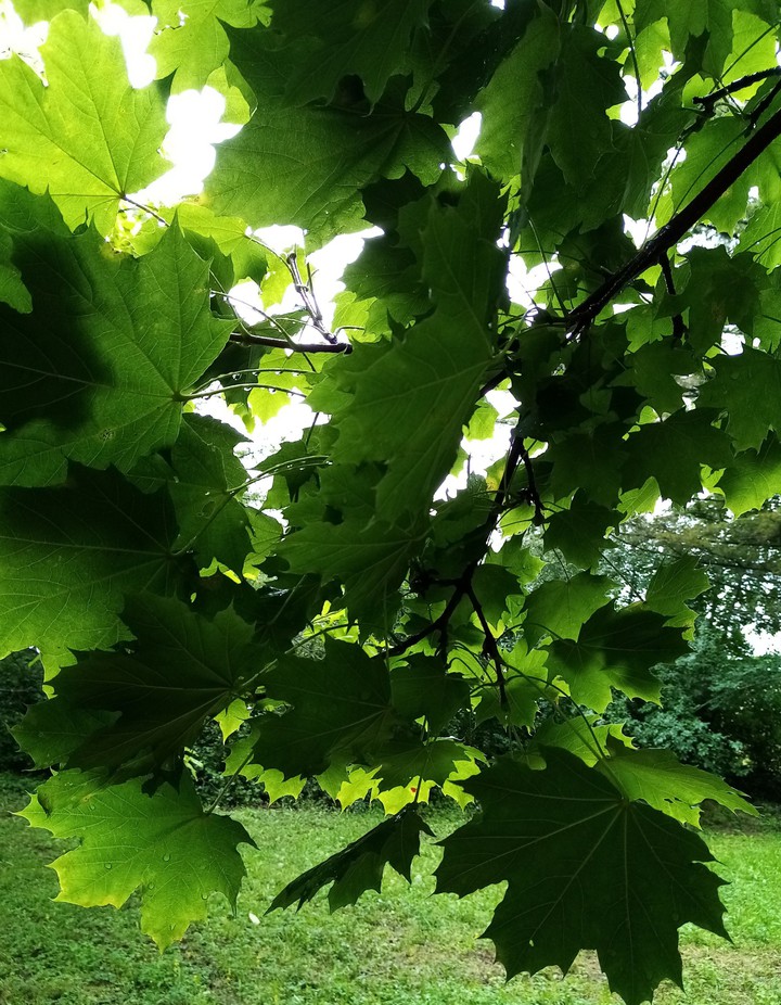 sous la pluie