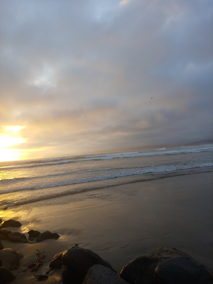 Beach life