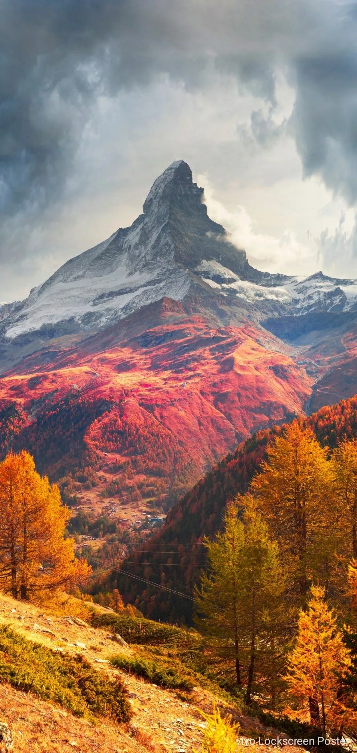 nature
