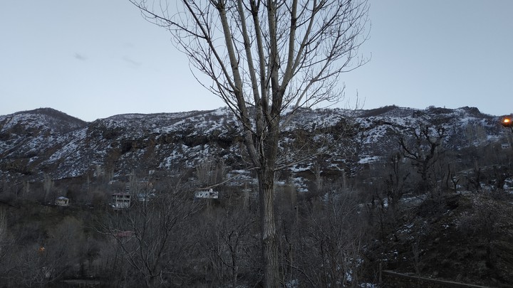 forest Village