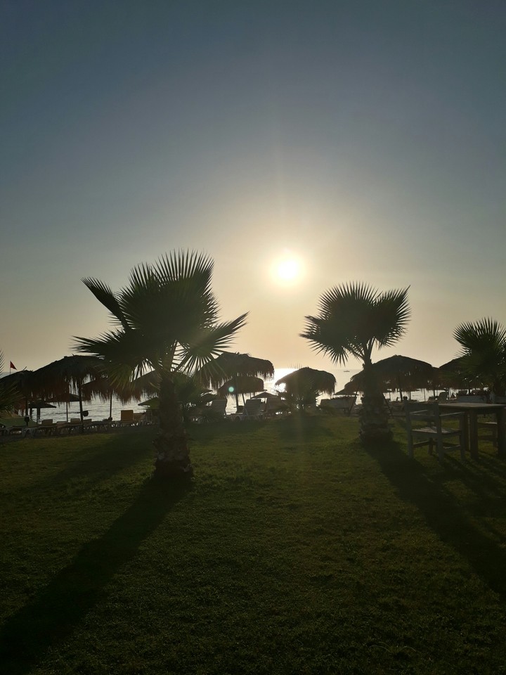 turkey