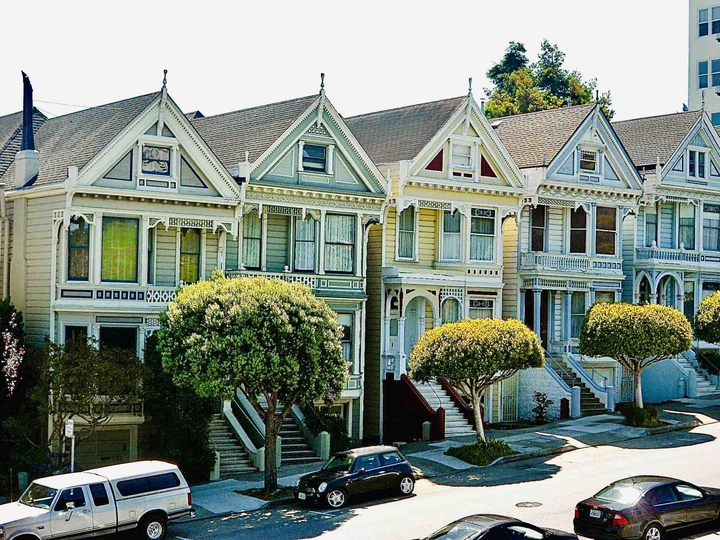 Painted Ladies