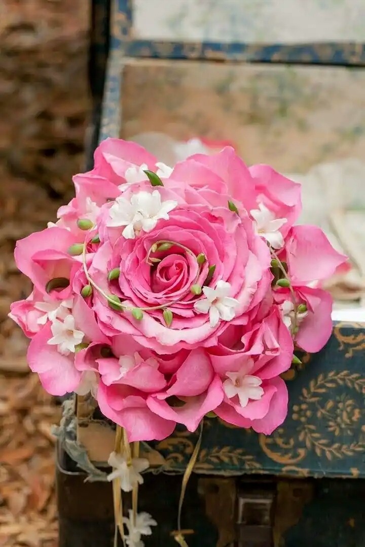 for my friends