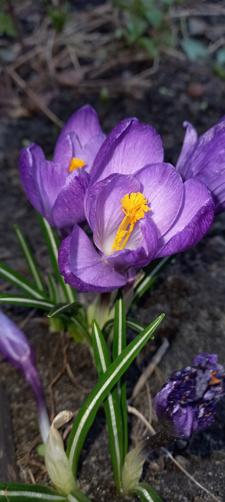 природа