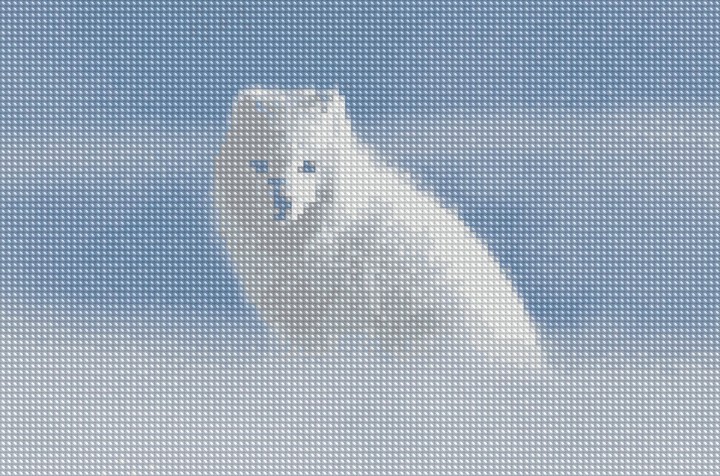cold